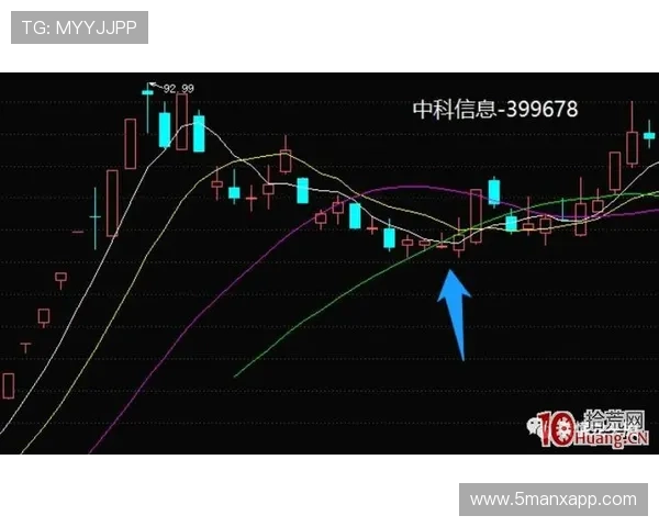 南京足球队与上海足球队赛后复盘分析：团队配合与战术执行的深度探讨